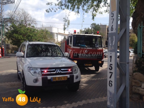 fire lud 0404 (3).jpg